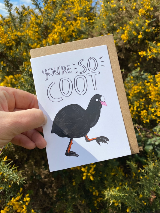 You're So COOT Duck Greeting Card