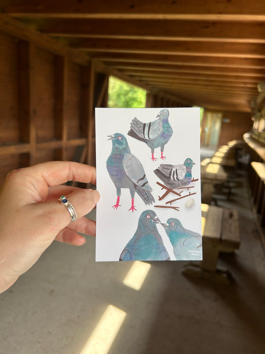 Pigeon Pals Postcard
