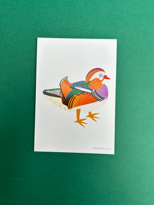 Mandarin Duck Postcard