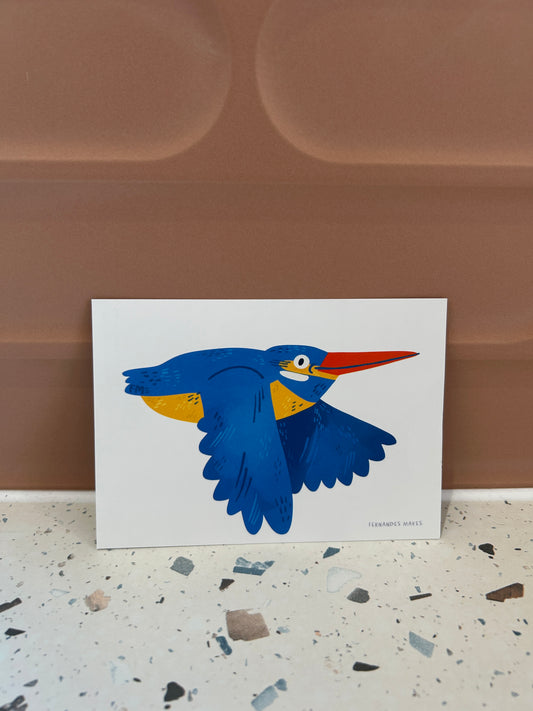 kingfisher Postcard