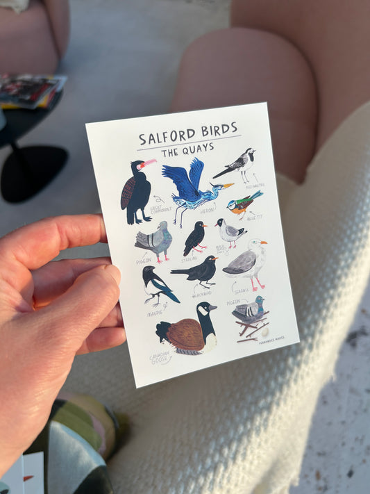 Salford Birds Postcard