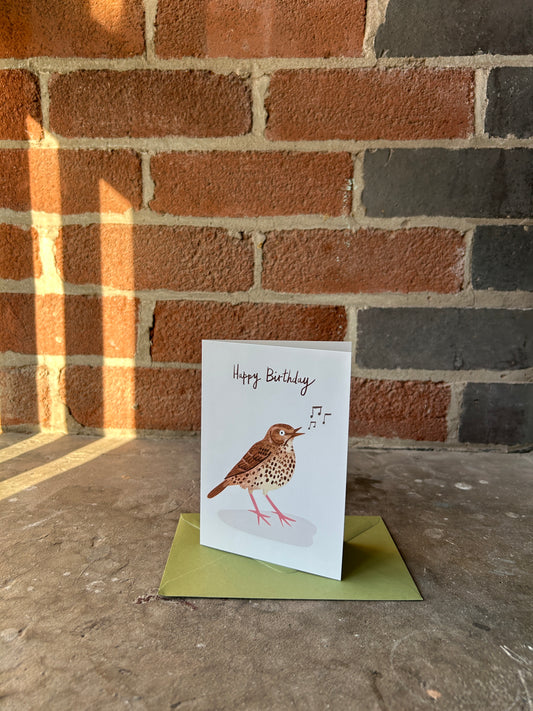 Happy Birthday Song Thrush Greeting Card