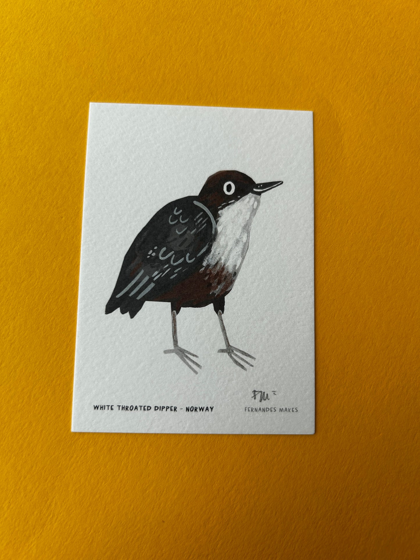 White Throated Dipper / Norway / World Birds Mini Print (A7)
