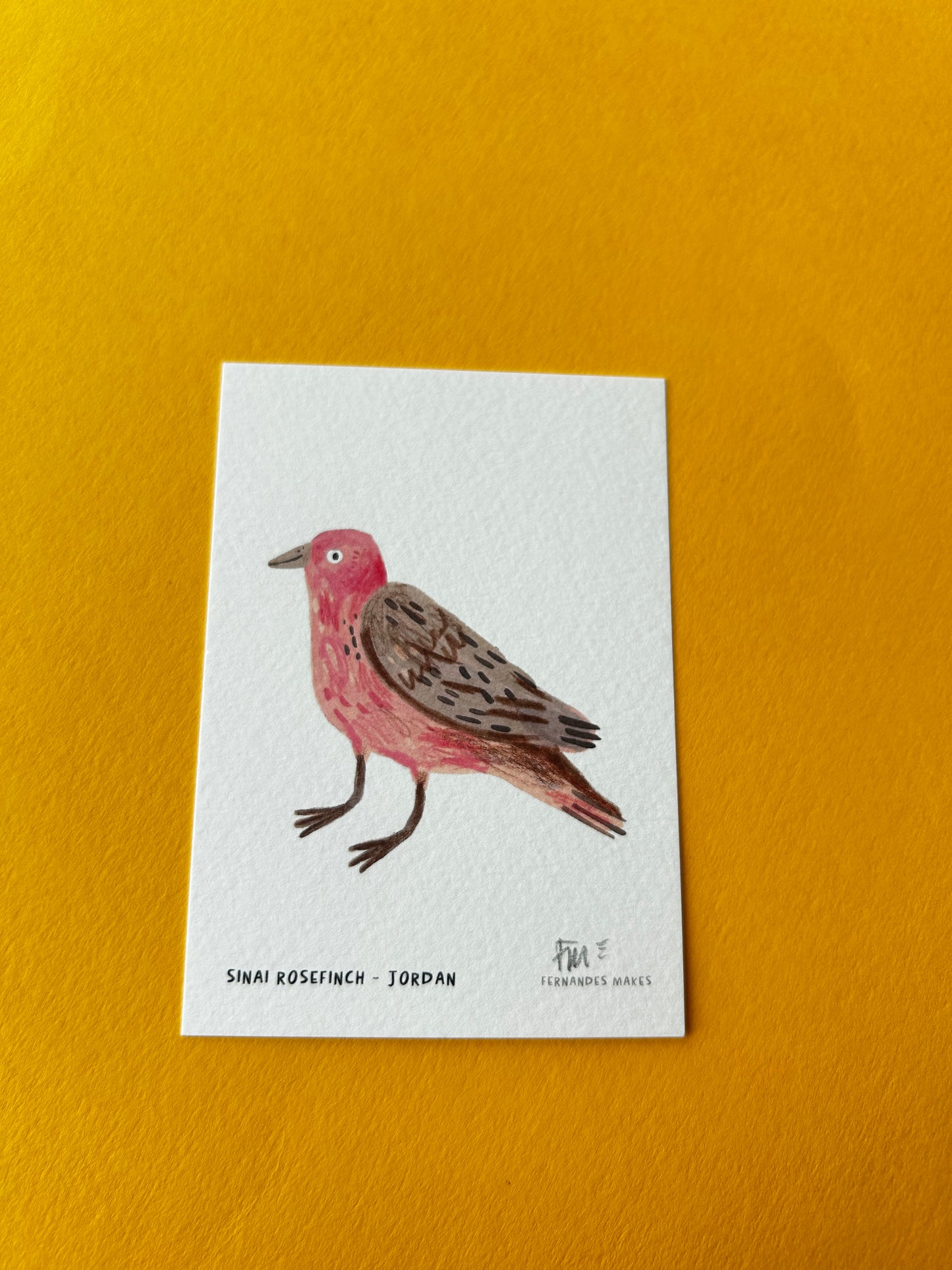 Sinai Rosefinch / Jordan / World Birds Mini Print (A7)