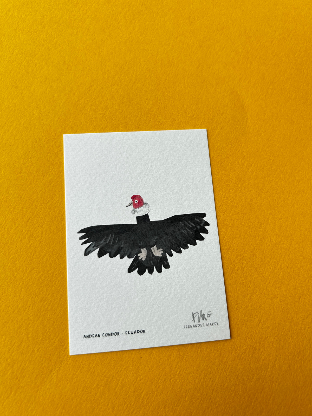 Andean Condor / Ecuador / World Birds Mini Print (A7)