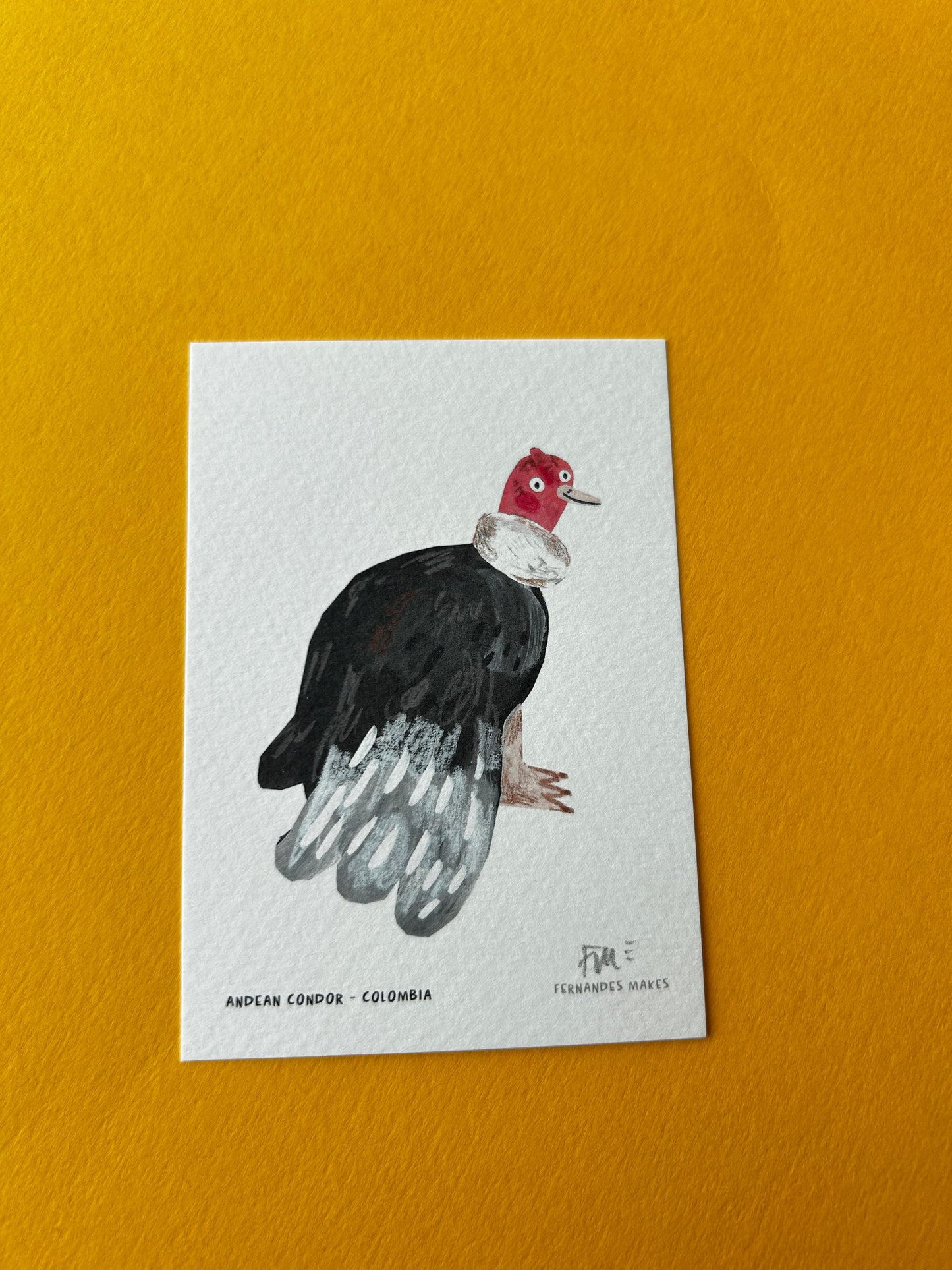 Andean Condor / Colombia / World Birds Mini Print (A7)