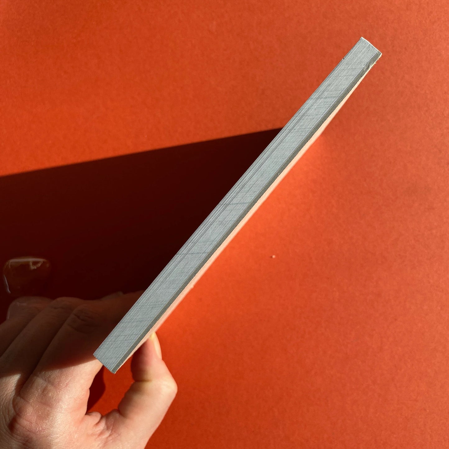 Plan More Frolicking Notepad