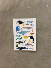 Sea Life Whales - Postcard