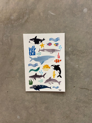 Sea Life Whales - Postcard