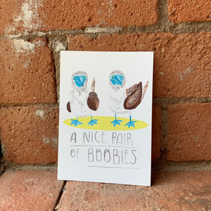 Pair of Boobies, wild bird illustration - A6 postcard, Mini art print - Fernandes Makes