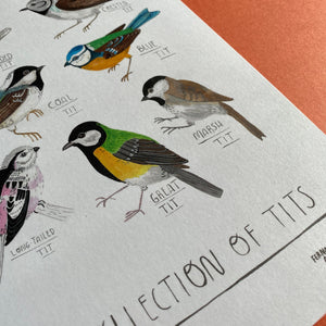 A Collection Of Tits Bird Print - Garden Bird Illustrated Home Decor, Animal Painting for Bird Lovers, Cute Nature Themed Wall Art - Fernandes Makes