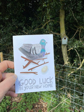 Good luck in your New Home, Pigeon A6 Greeting card -  Bird animal illustration - moving house - Fernandes Makes