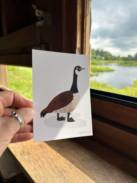 Proud Happy Goose Postcard