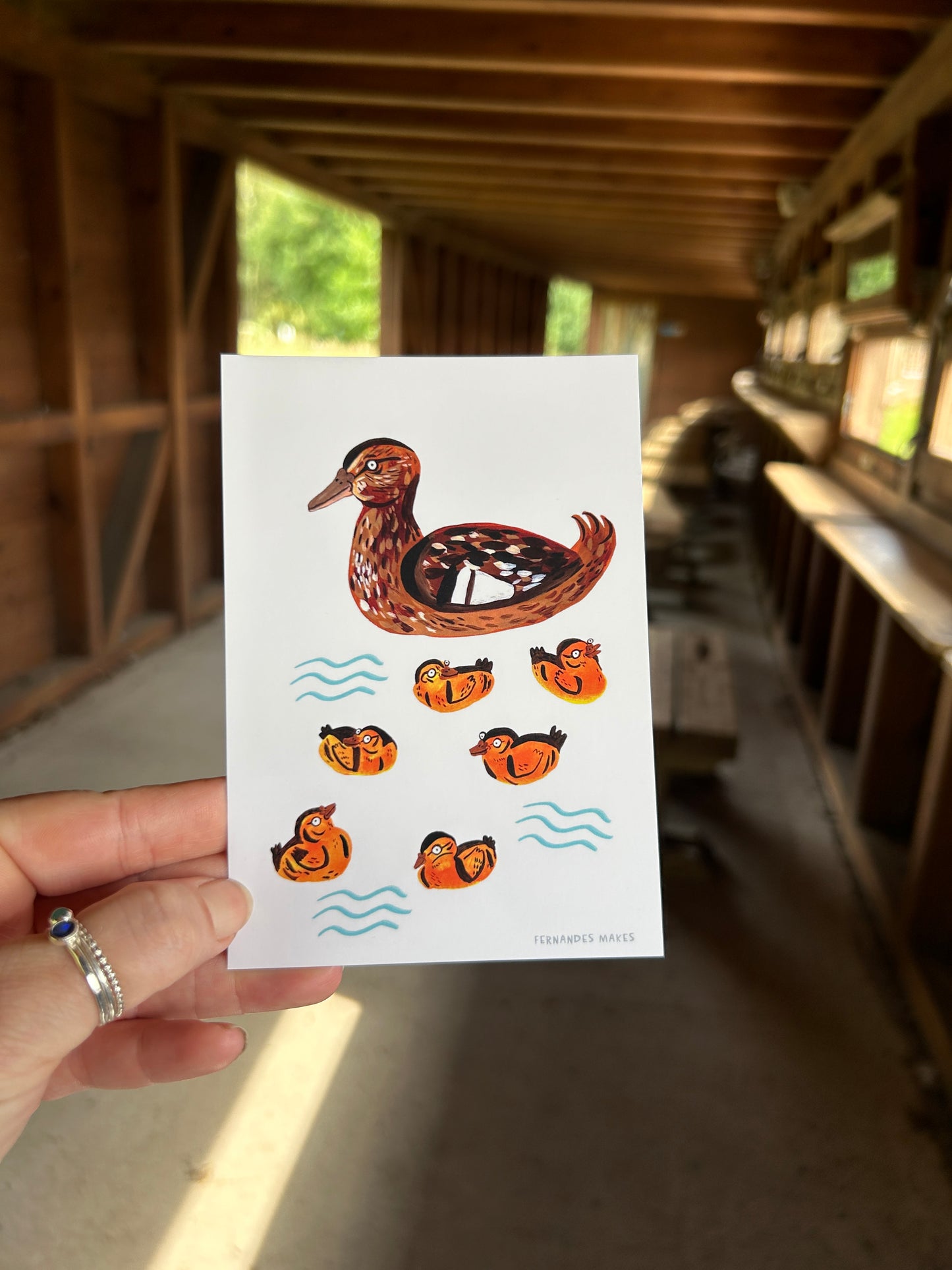 Mallard and Ducklings Postcard
