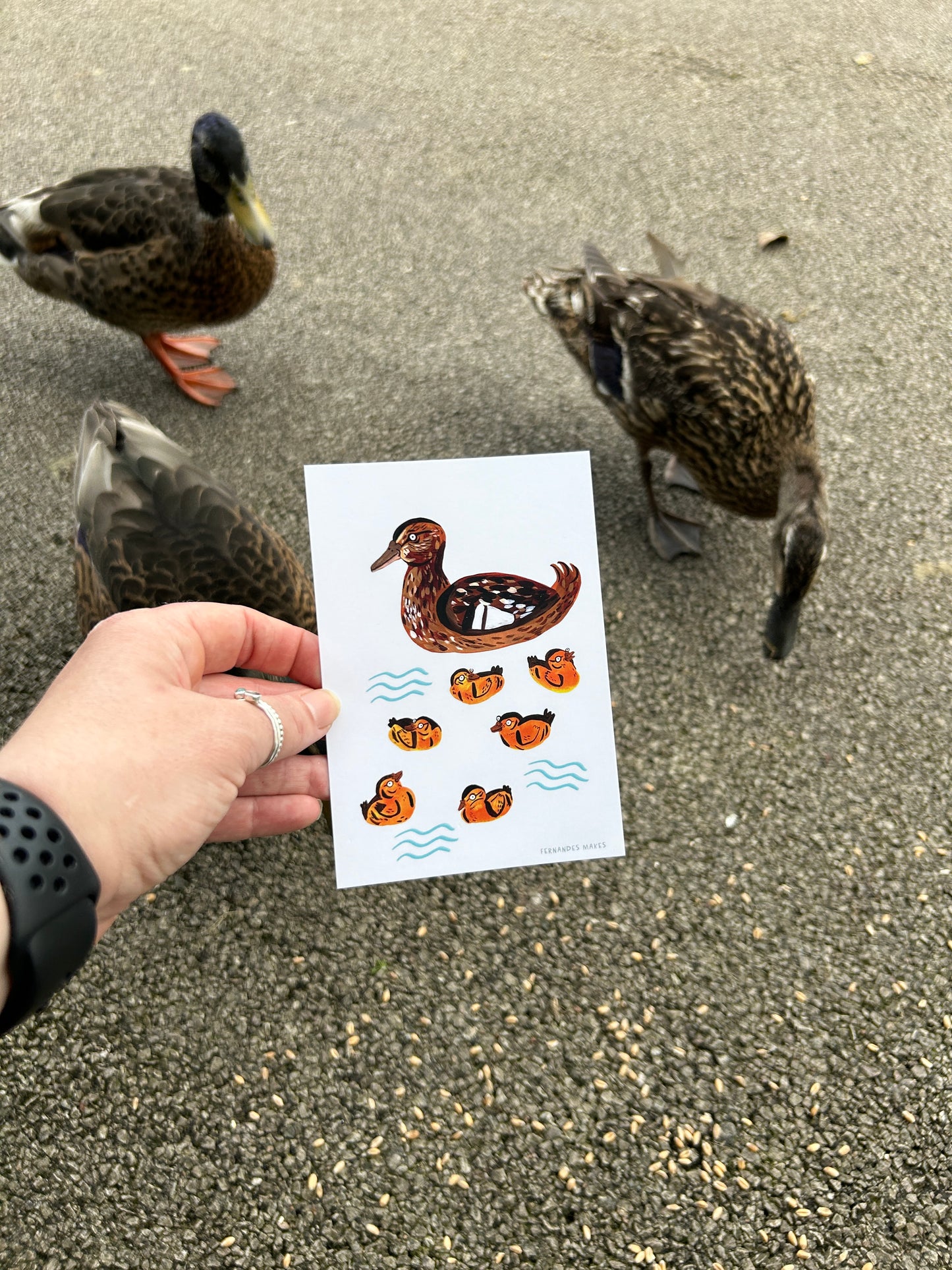 Mallard and Ducklings Postcard