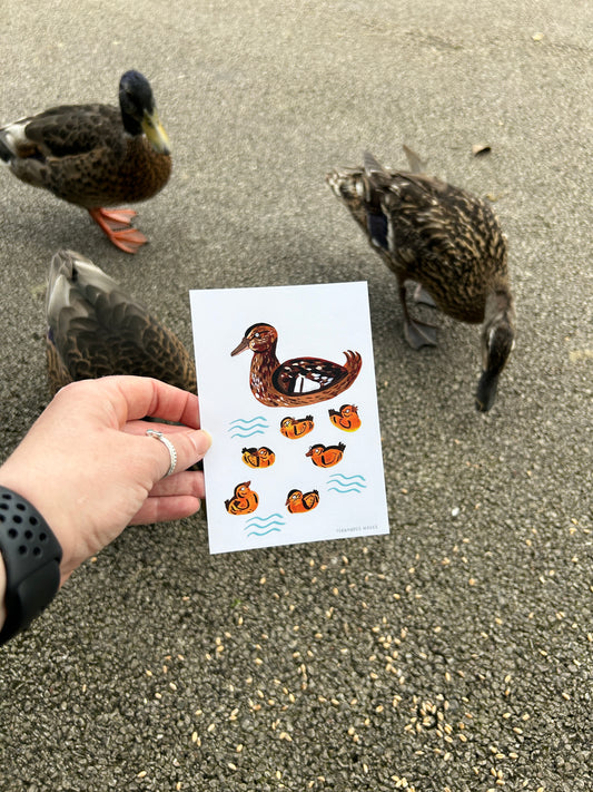 Mallard and Ducklings Postcard
