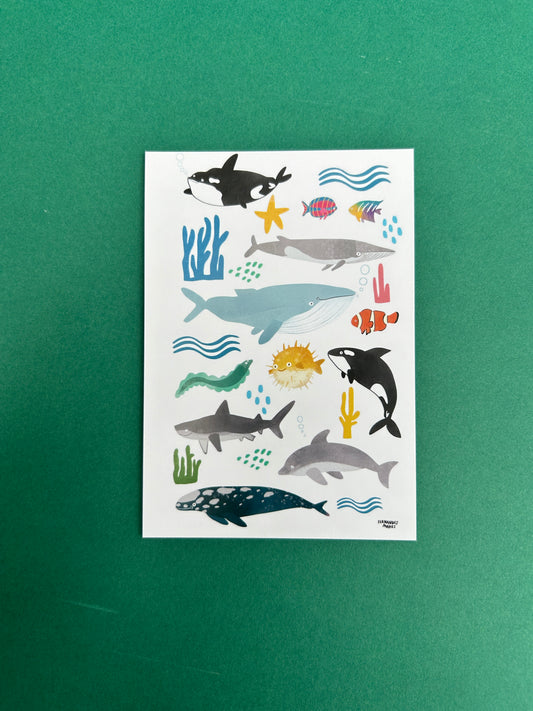 Friendly Sea Life Postcard