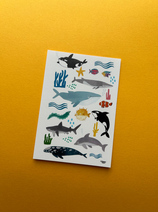 Friendly Sea Life Postcard