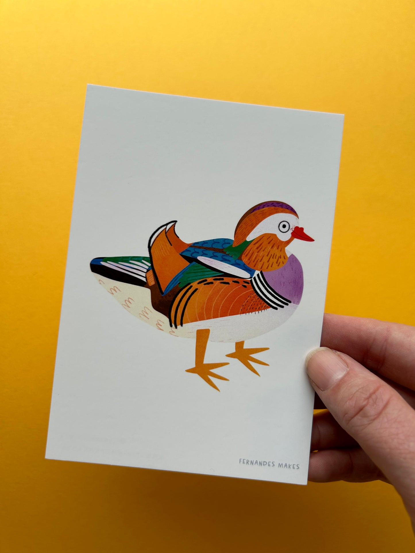 Mandarin Duck Postcard