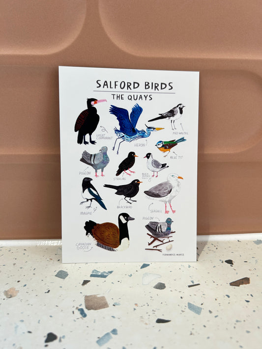 Salford Birds Postcard