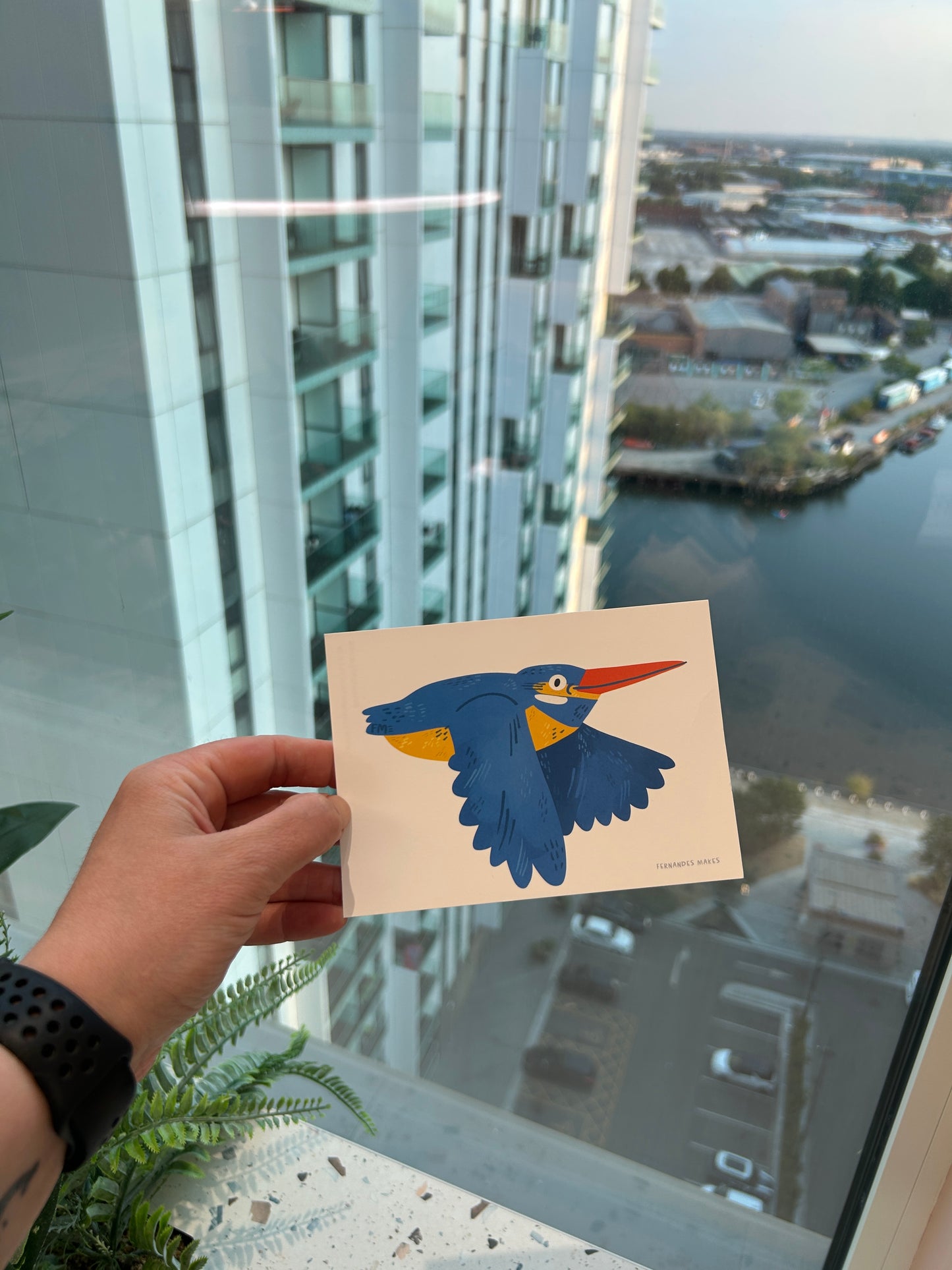 kingfisher Postcard