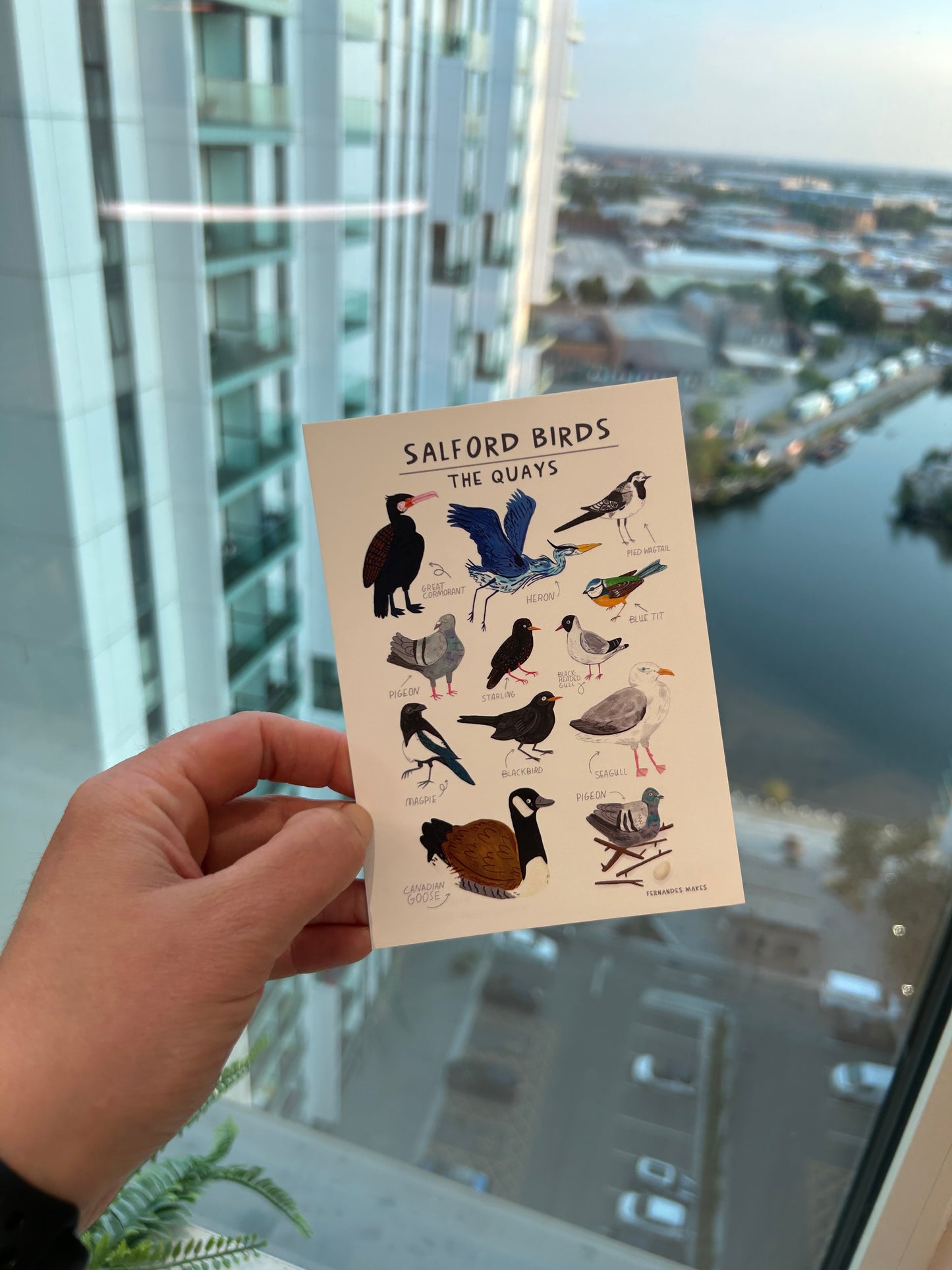 Salford Birds Postcard