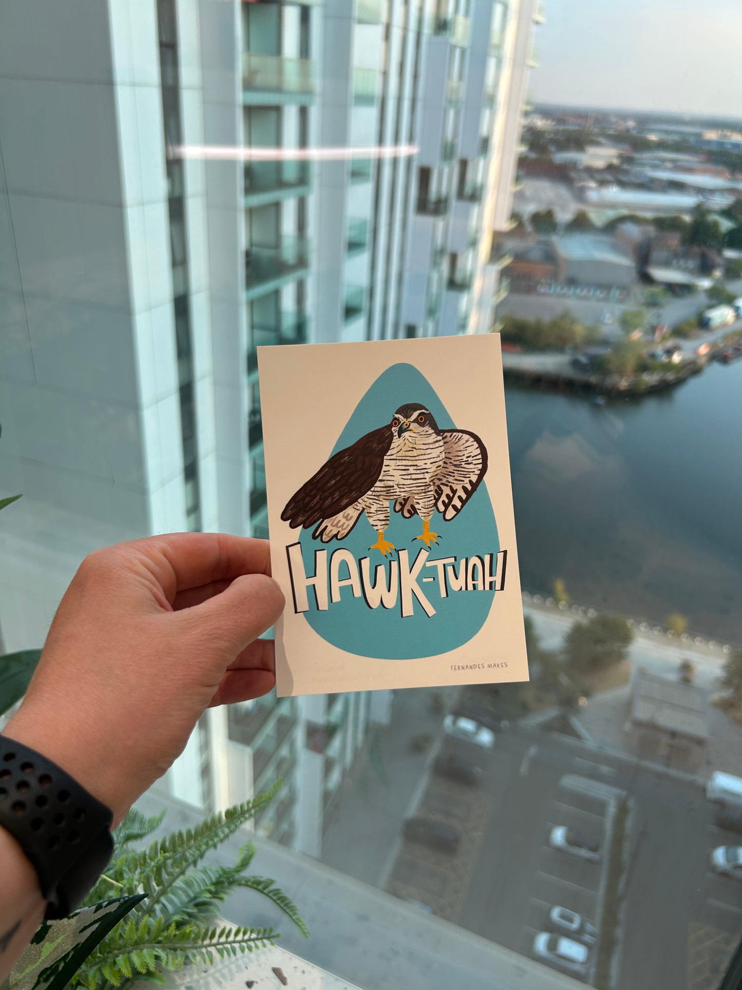 Hawk Tuah Bird Postcard