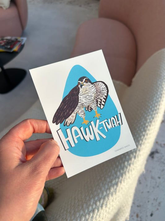 Hawk Tuah Bird Postcard