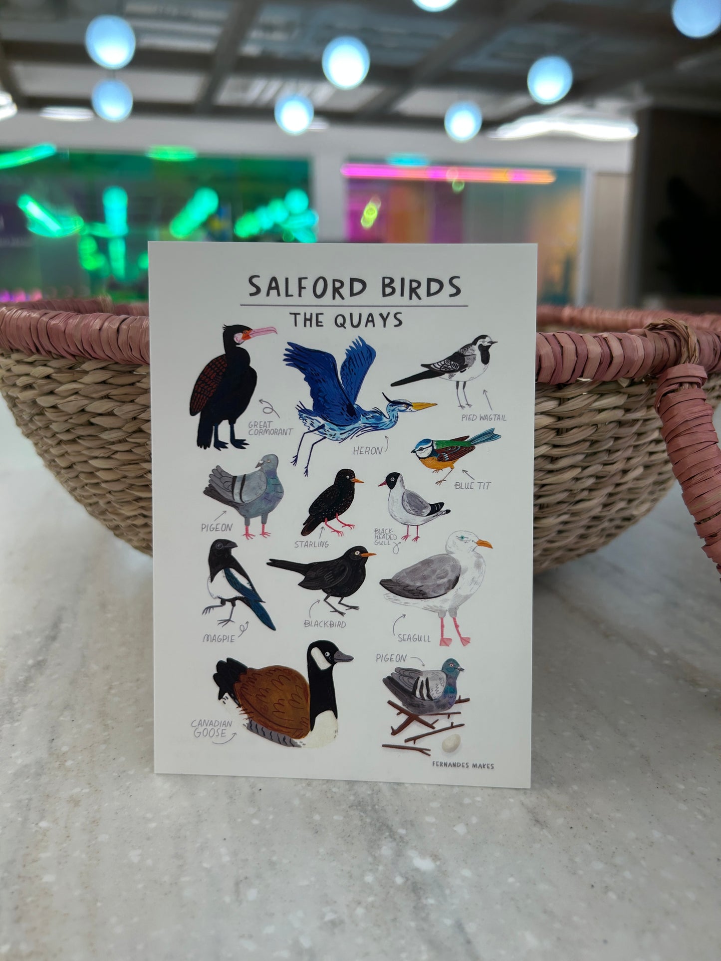 Salford Birds Postcard