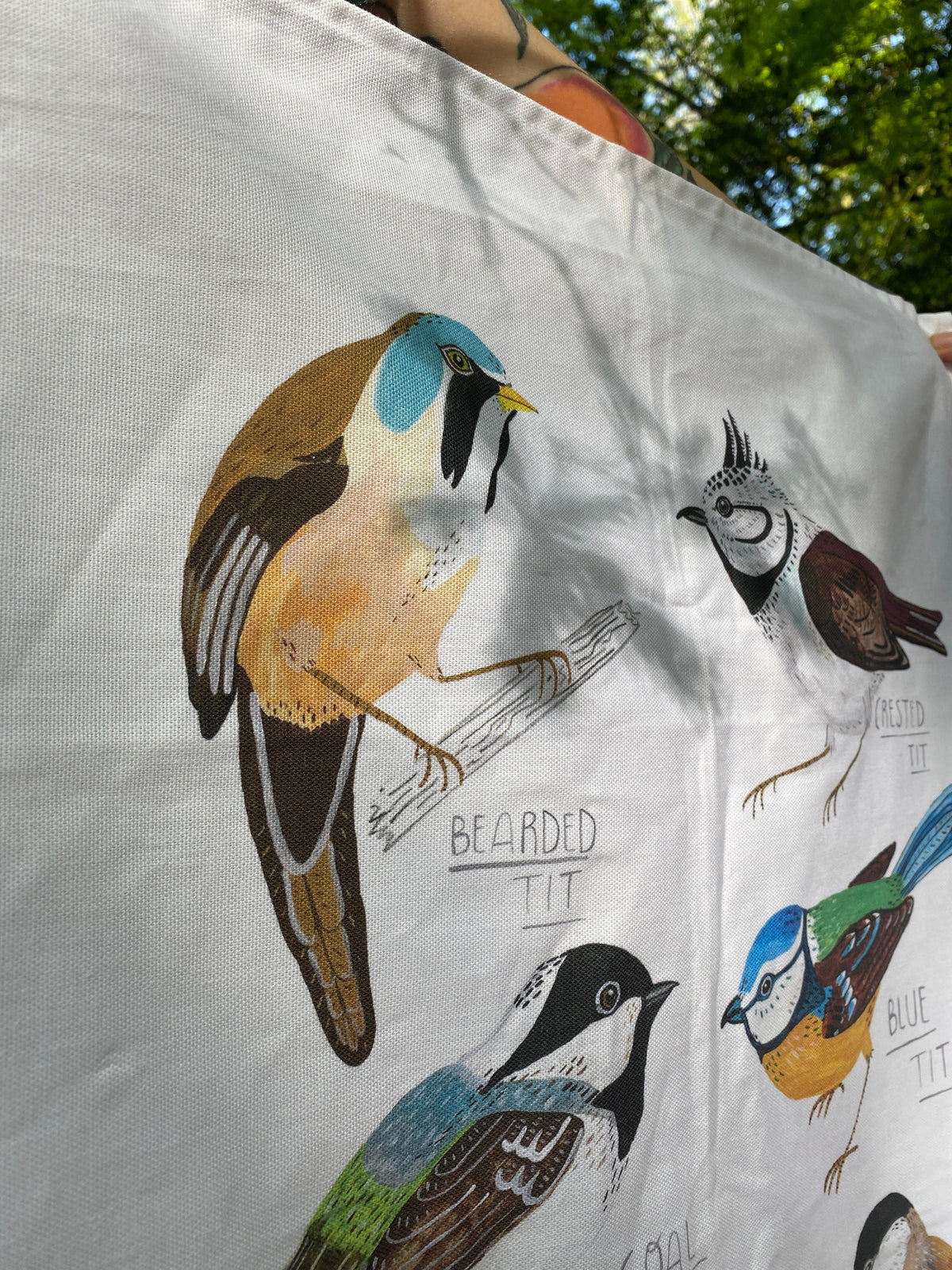 Collection of Tits Tea Towel