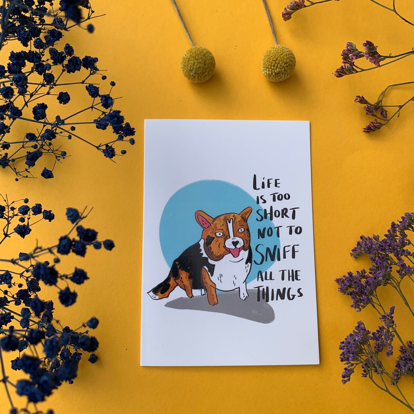 Life Is Too Short Not To Sniff All The Things Greeting Card