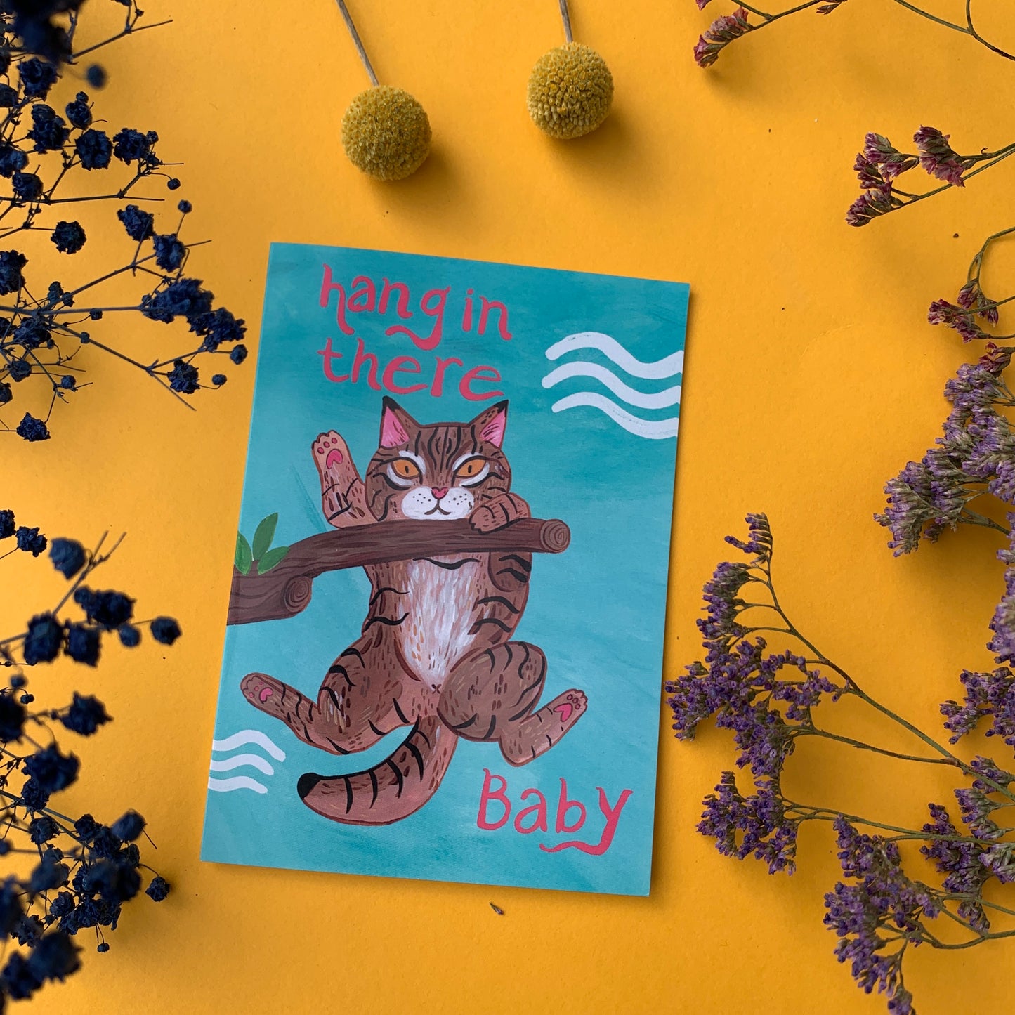 Hang In There Baby Greeting Card