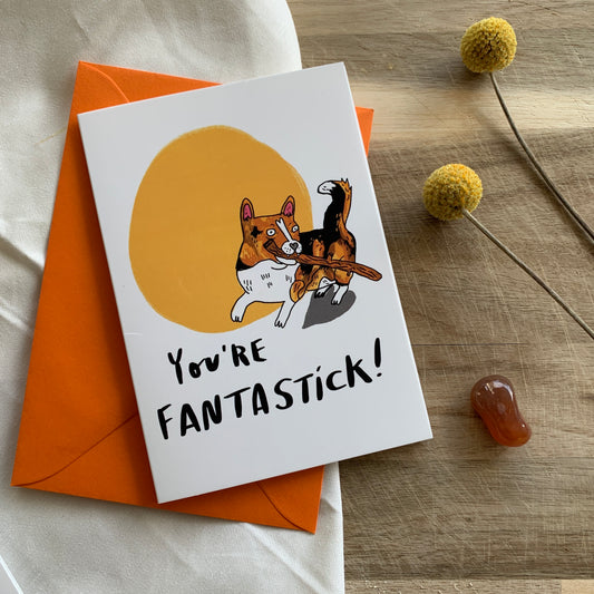 You're Fanta-Stick! Greeting Card