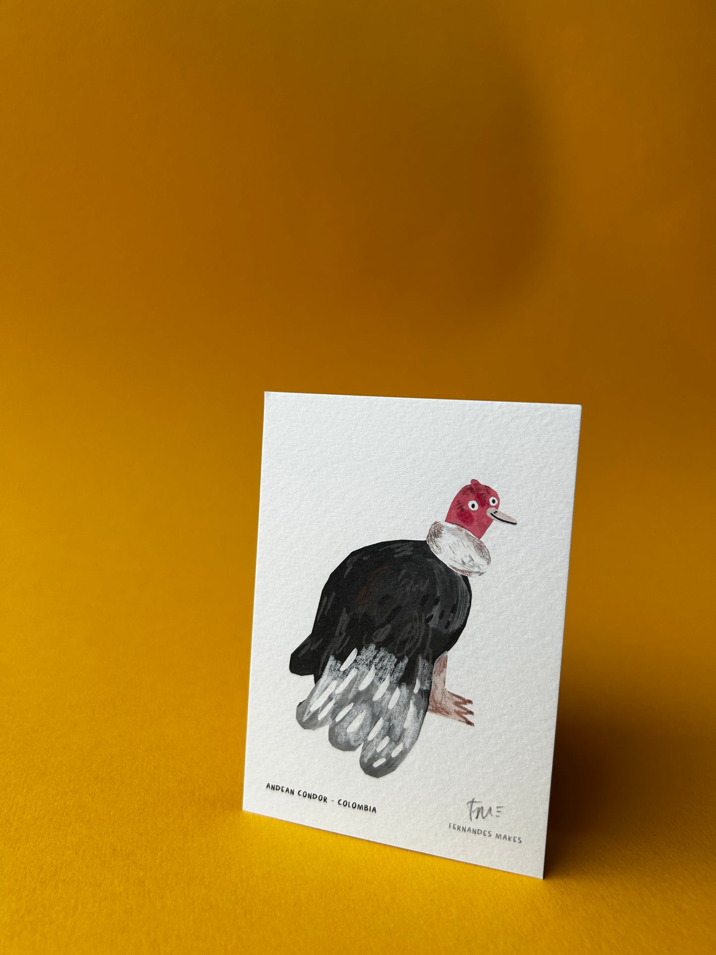 Andean Condor / Colombia / World Birds Mini Print (A7)