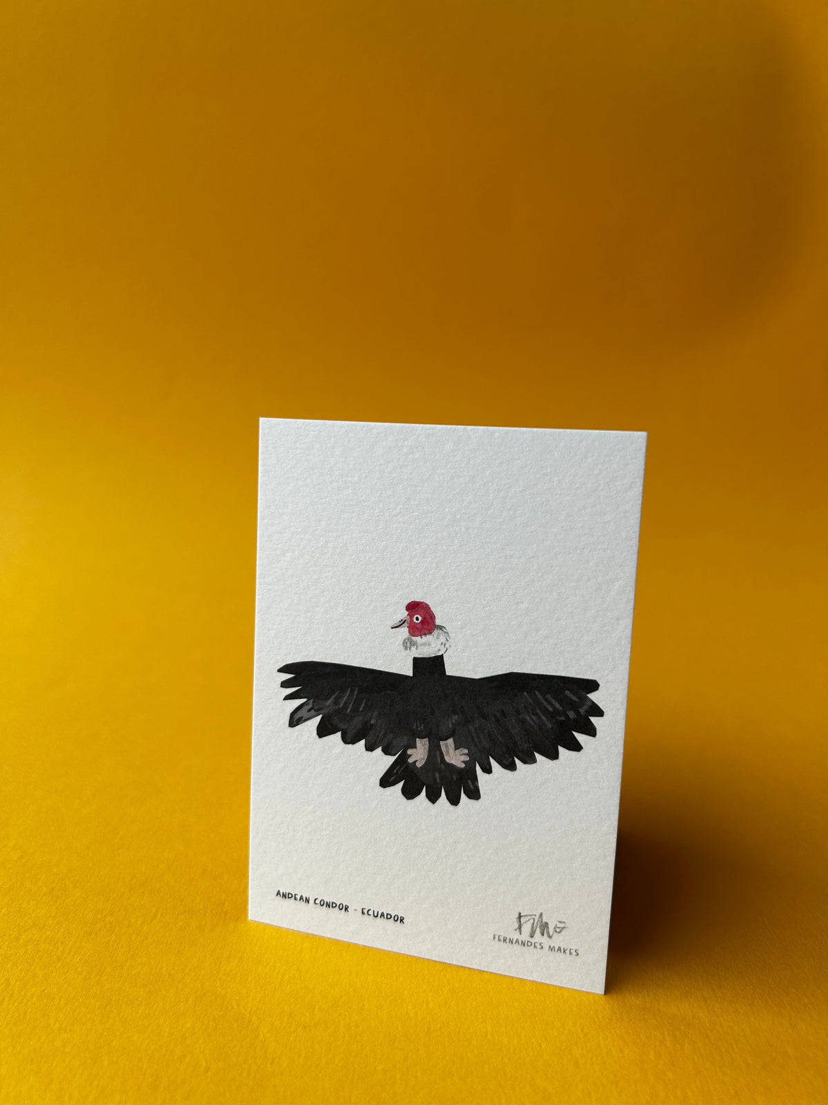 Andean Condor / Ecuador / World Birds Mini Print (A7)