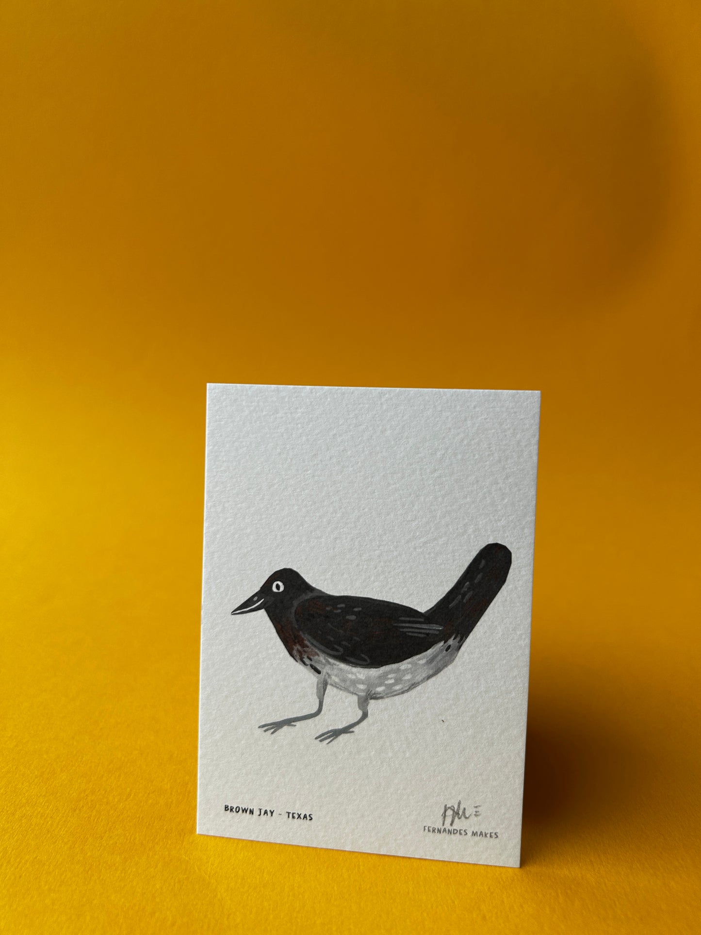 Brown Jay / Texas / World Birds Mini Print (A7)