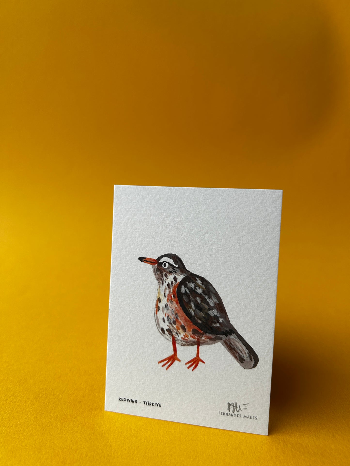 Redwing / Turkiye / World Birds Mini Print (A7)
