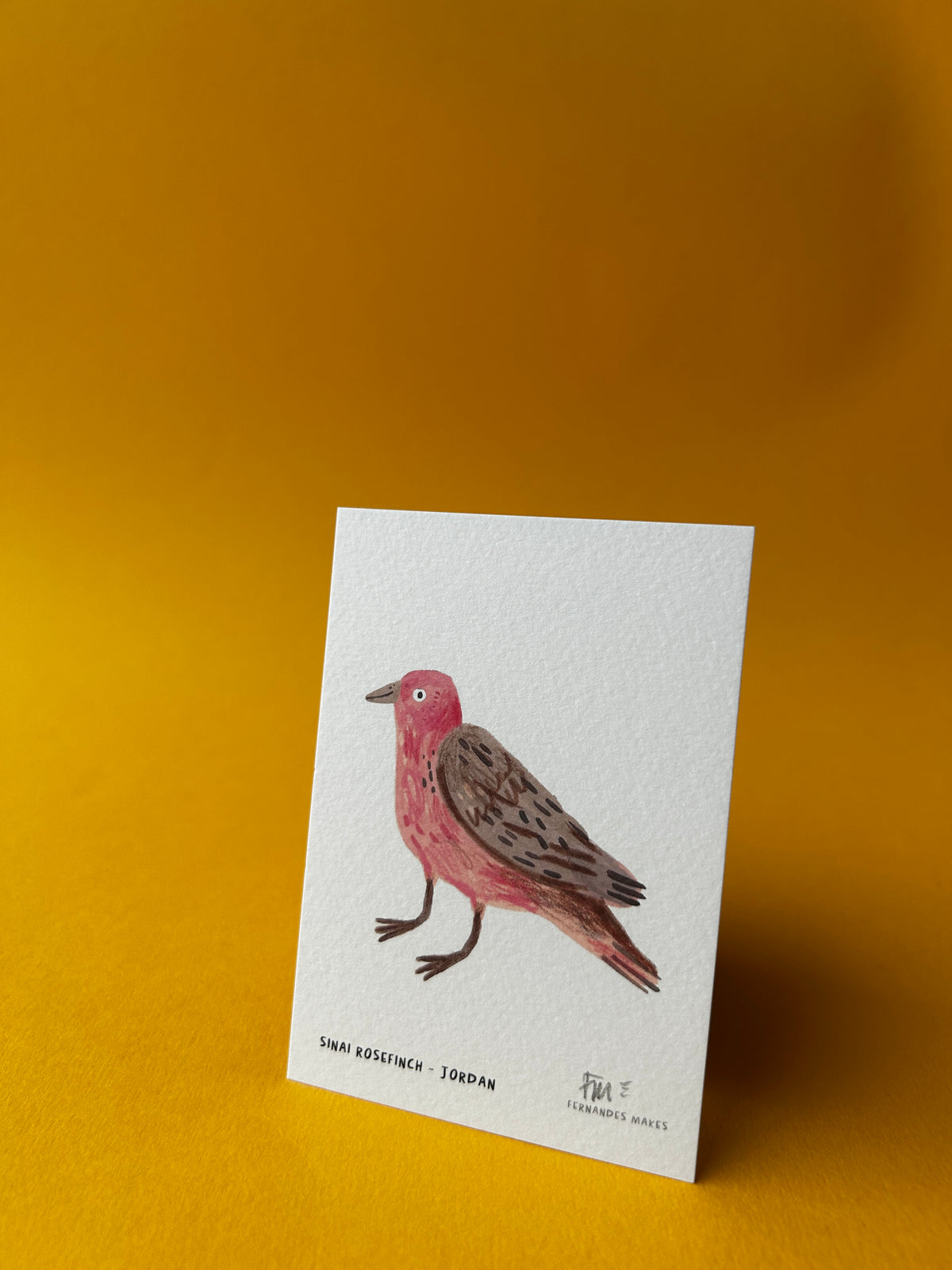 Sinai Rosefinch / Jordan / World Birds Mini Print (A7)
