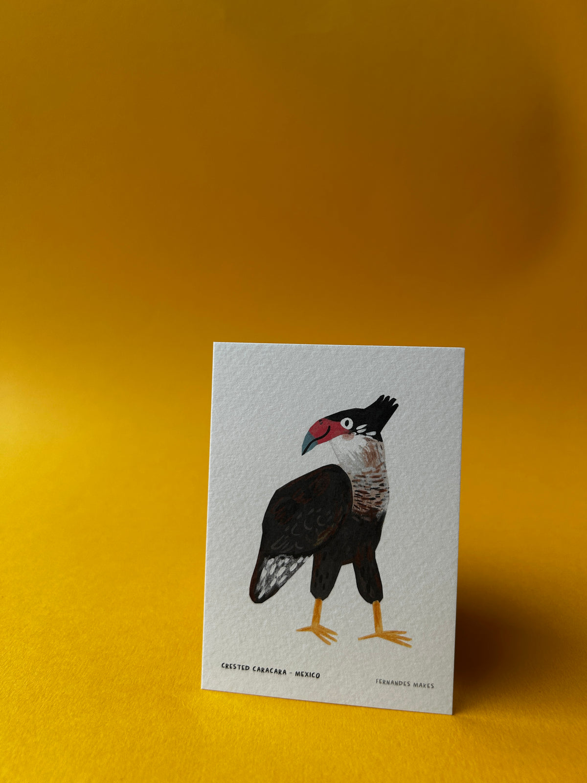 Crested Caracara / Mexico / World Birds Mini Print (A7)