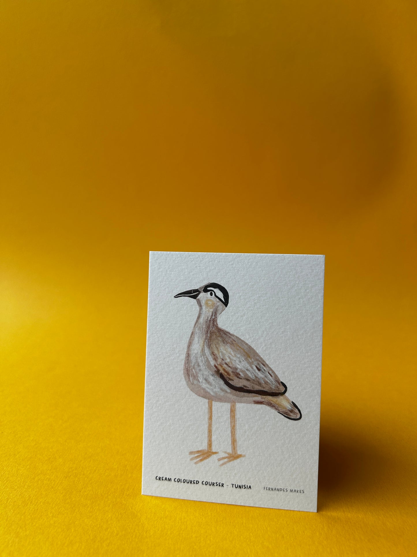 Cream Courser / Tunisia / World Birds Mini Print (A7)