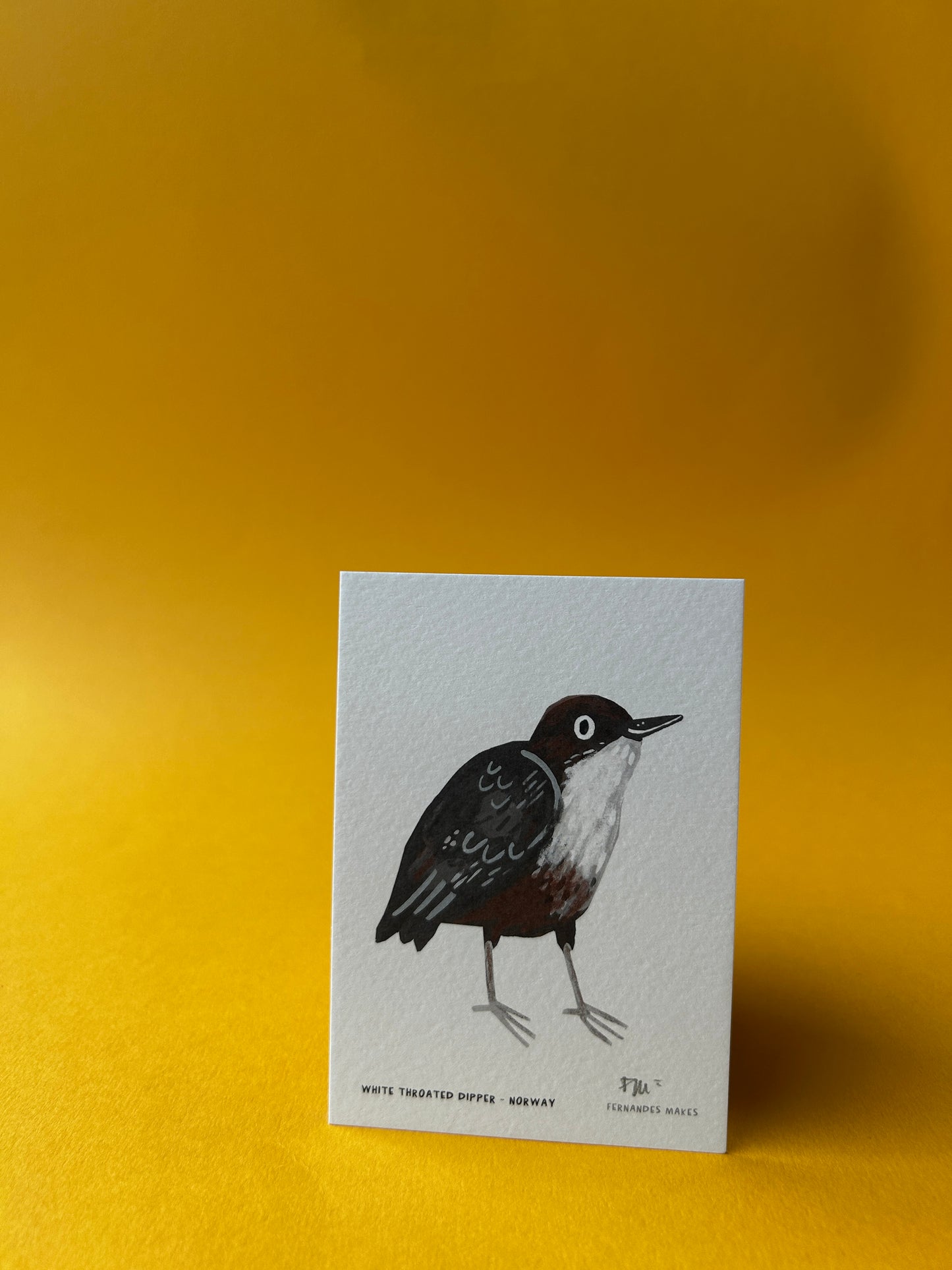 White Throated Dipper / Norway / World Birds Mini Print (A7)