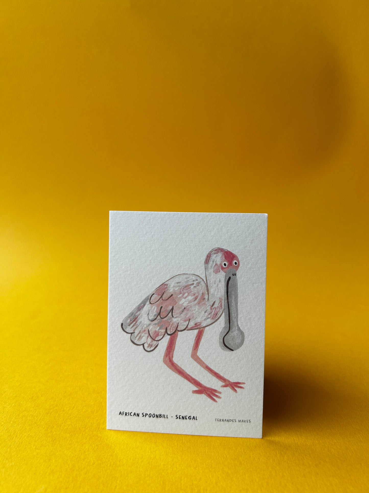 African Spoonbill / Senegal / World Birds Mini Print (A7)
