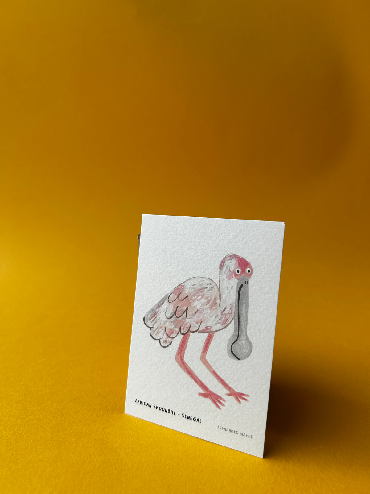 African Spoonbill / Senegal / World Birds Mini Print (A7)