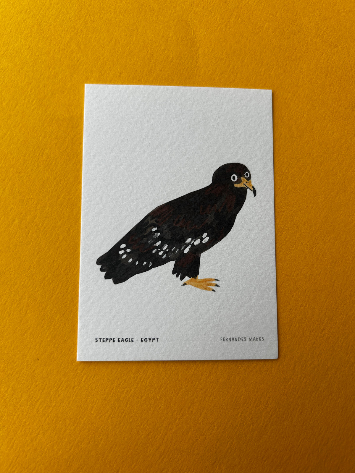 Steppe Eagle / Egypt / World Birds Mini Print (A7)