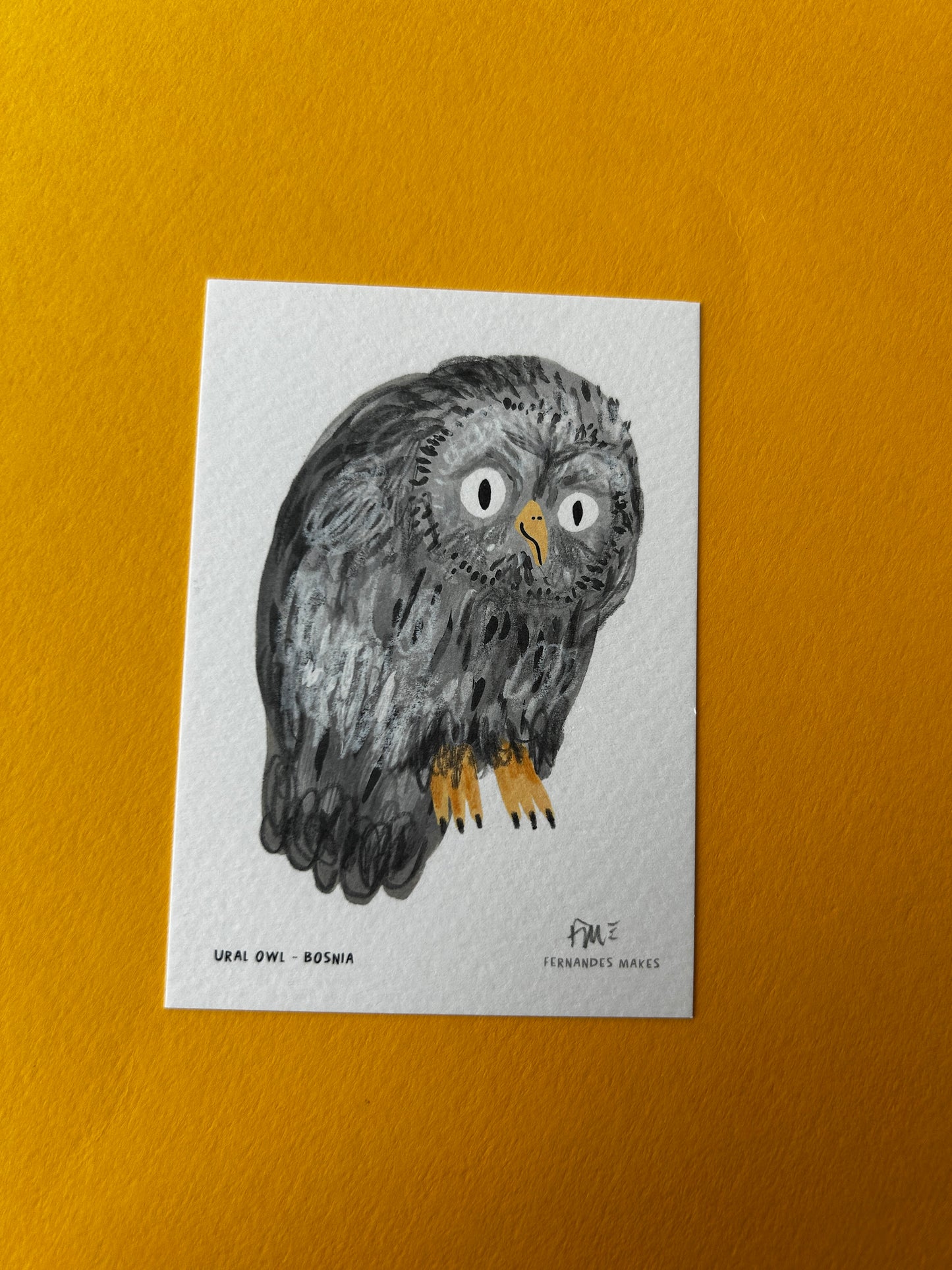 Ural Owl / Bosnia / World Birds Mini Print (A7)
