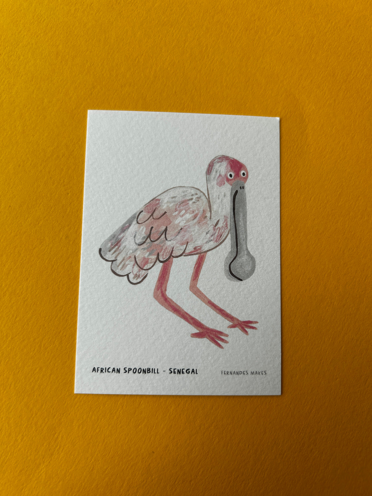 African Spoonbill / Senegal / World Birds Mini Print (A7)