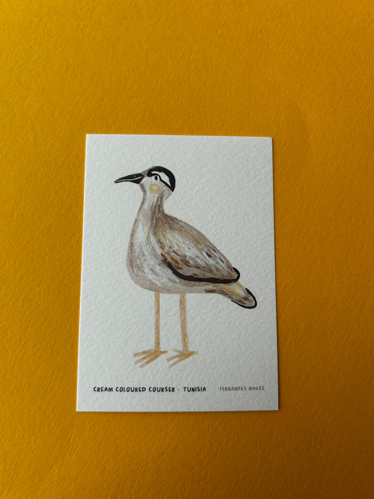 Cream Courser / Tunisia / World Birds Mini Print (A7)