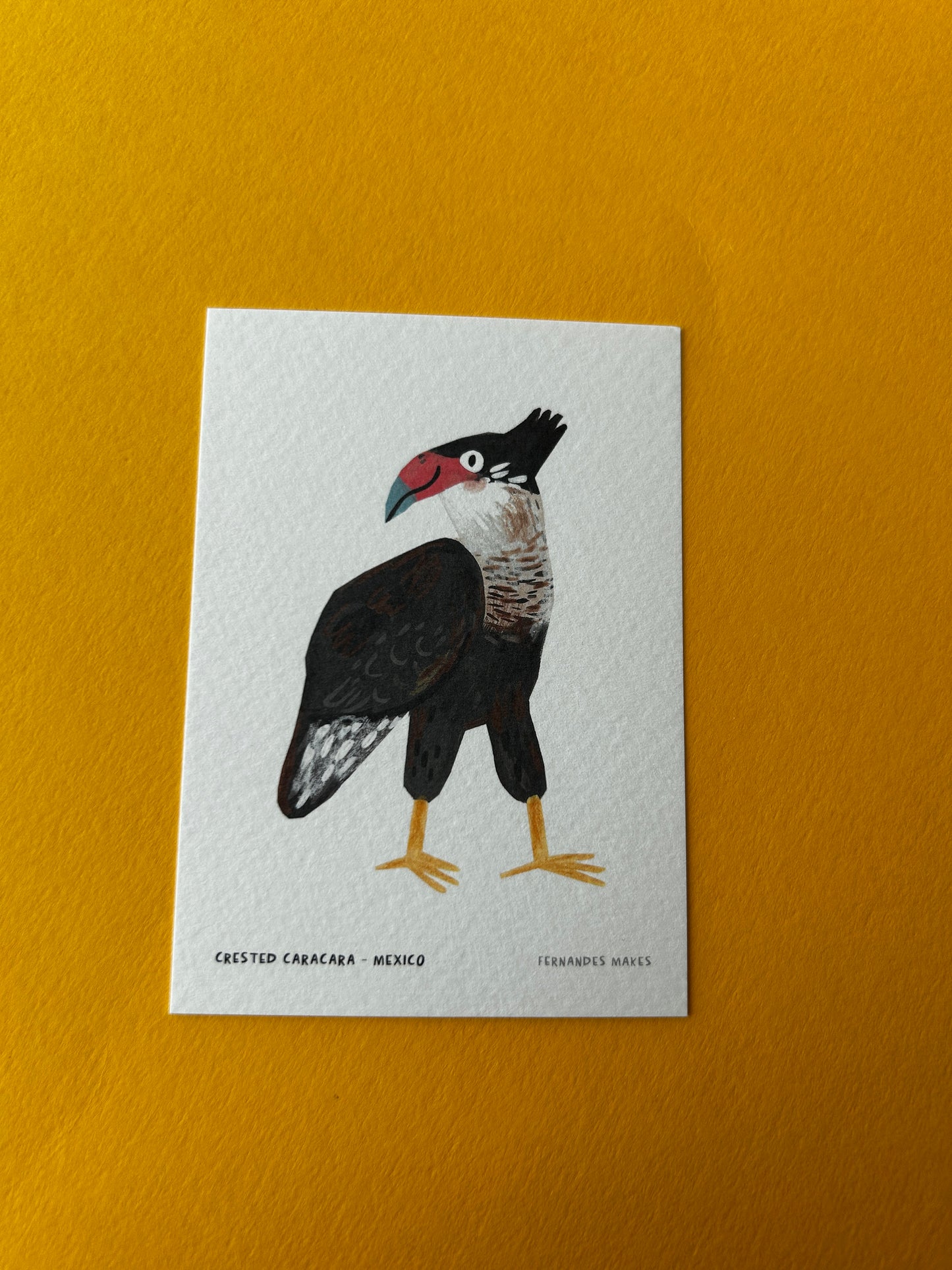 Crested Caracara / Mexico / World Birds Mini Print (A7)