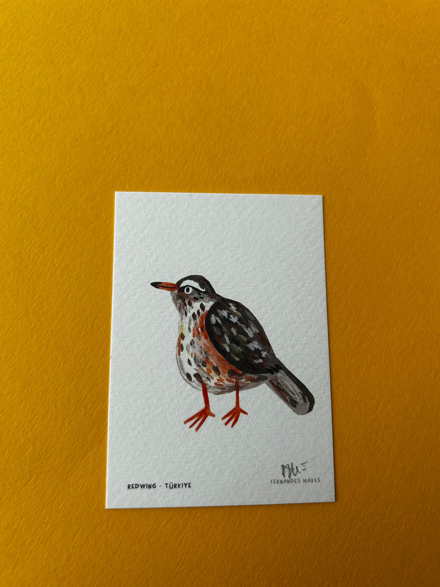Redwing / Turkiye / World Birds Mini Print (A7)