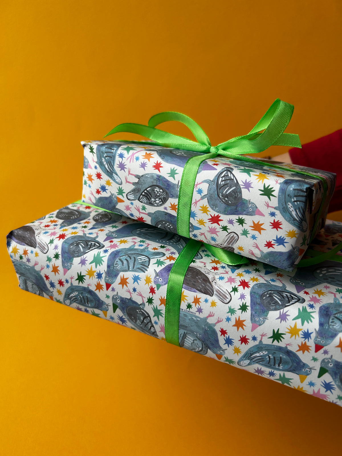 Party Pigeons Gift Wrap Sheets (3pk)